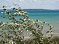 Western Michigan [2010] 560